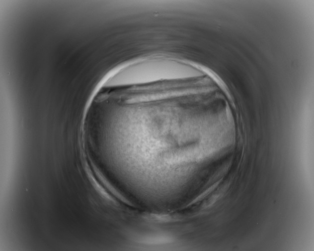 X0000086290911200704201920