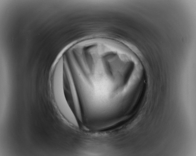X0000086290912200704201920