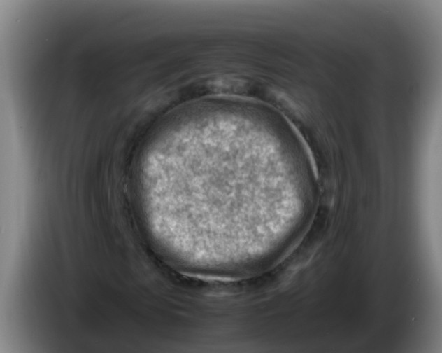 X0000086290913200704201920