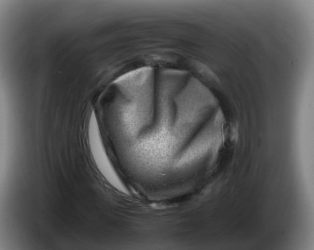 X0000086290915200704201920