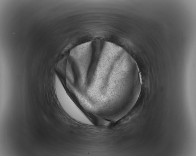 X0000086290916200704201920