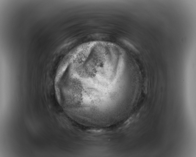 X0000086290917200704201920