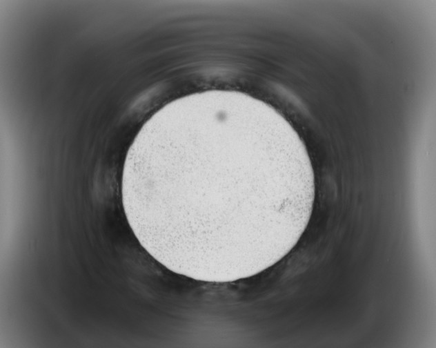 X0000086290918200704201920