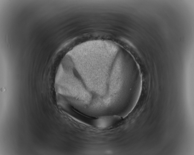 X0000086290919200704201920