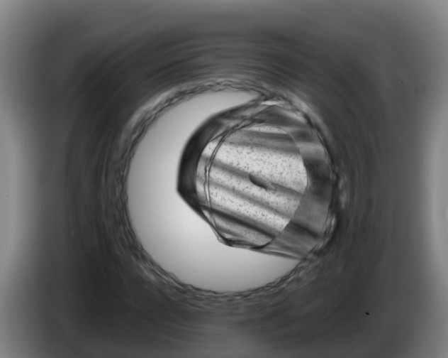 X0000086290920200704201920