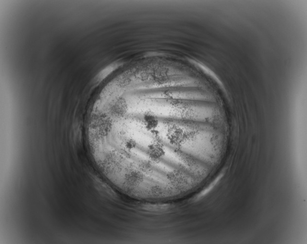 X0000086290921200704201920