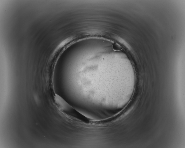 X0000086290922200704201920
