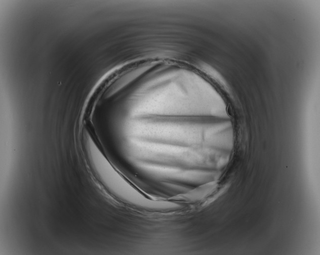 X0000086290924200704201920