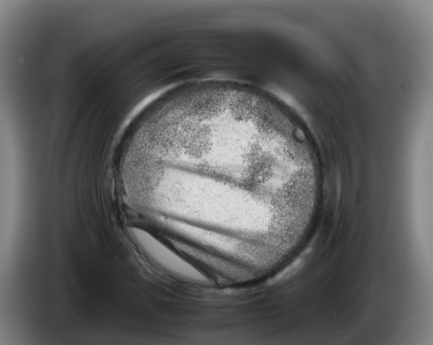 X0000086290925200704201920