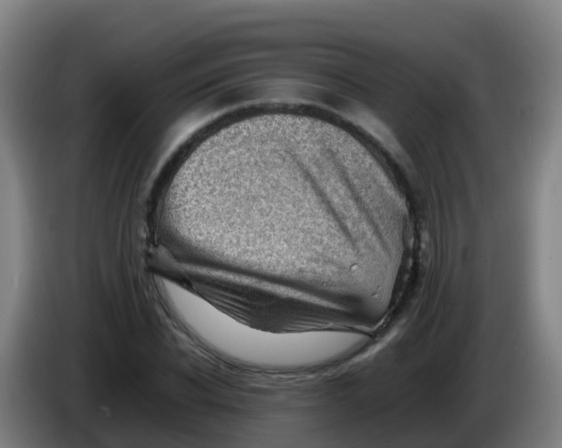 X0000086290926200704201920