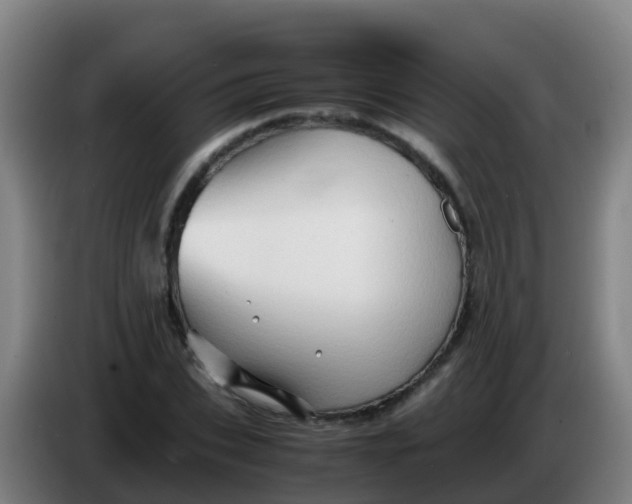 X0000086290927200704201920