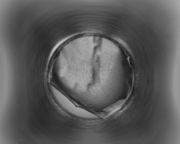 X0000086290928200704201920