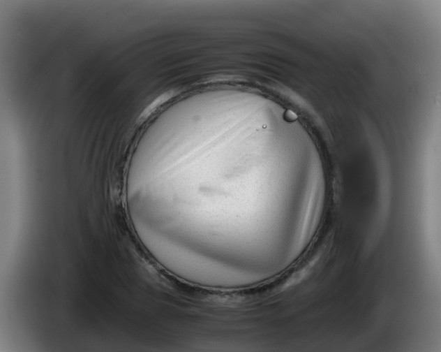X0000086290929200704201920