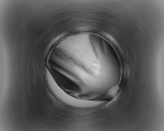X0000086290930200704201920