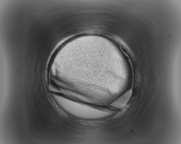 X0000086290932200704201920