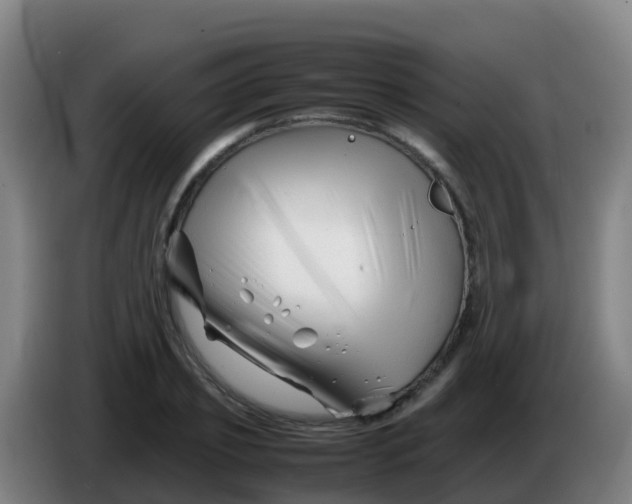 X0000086290933200704201920