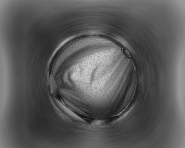 X0000086290934200704201920