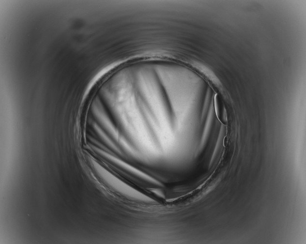 X0000086290936200704201920