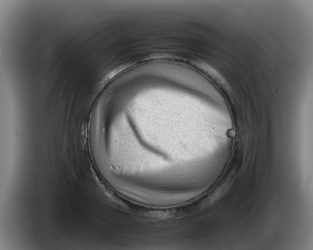 X0000086290937200704201920