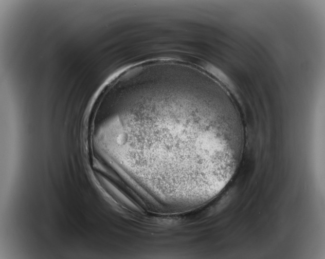 X0000086290939200704201920