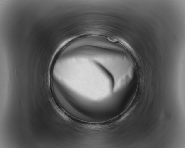 X0000086290940200704201920
