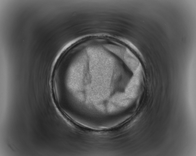 X0000086290943200704201920