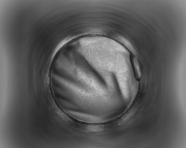 X0000086290944200704201920