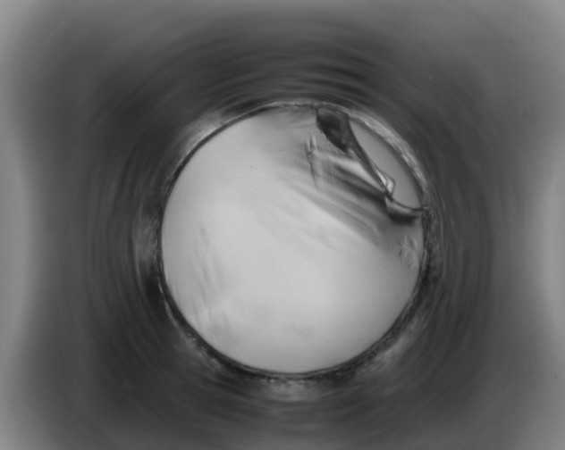X0000086290945200704201920