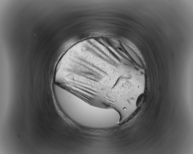 X0000086290946200704201920