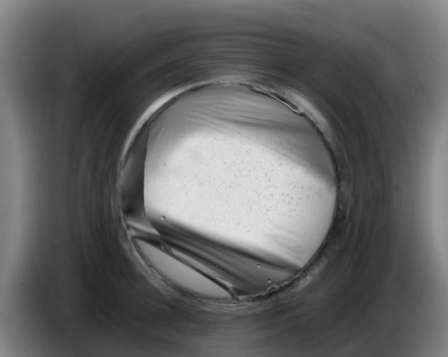 X0000086290948200704201920
