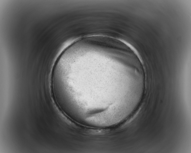 X0000086290949200704201920