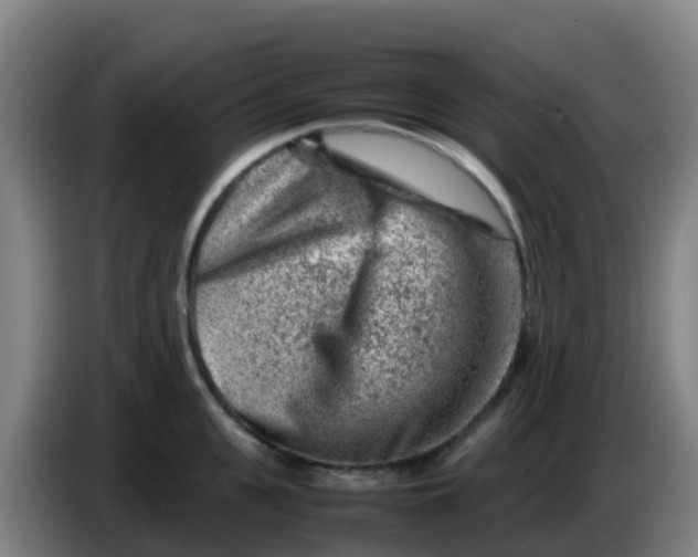 X0000086290951200704201920