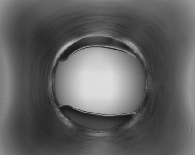 X0000086290952200704201920