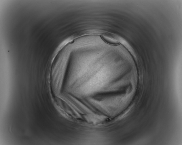 X0000086290954200704201920
