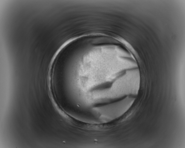 X0000086290955200704201920