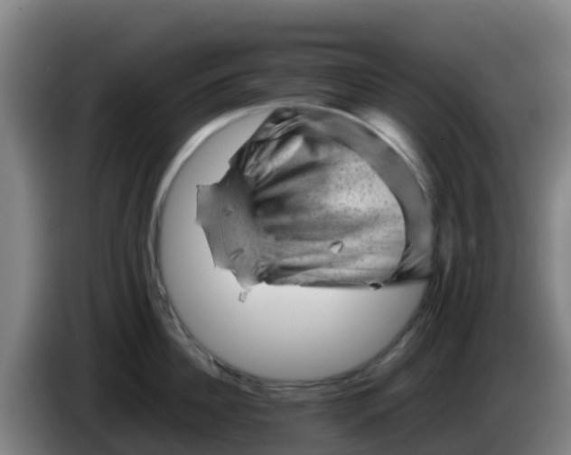 X0000086290956200704201920