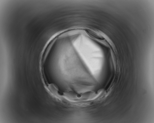 X0000086290958200704201920
