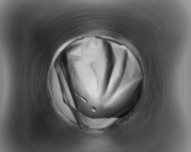 X0000086290960200704201920