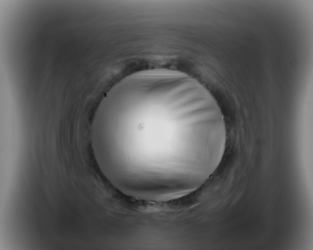 X0000086290961200704201920