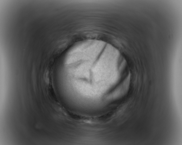 X0000086290962200704201920