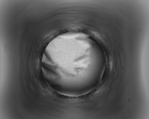 X0000086290964200704201920