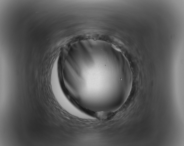 X0000086290965200704201920