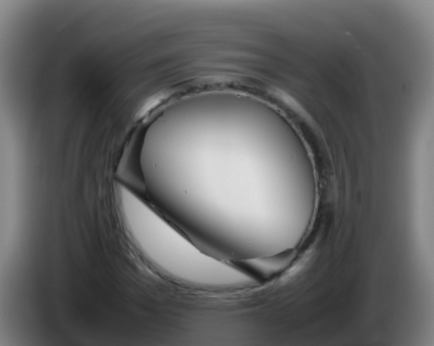 X0000086290969200704201920