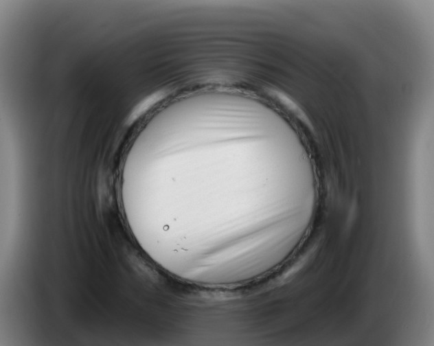 X0000086290970200704201920