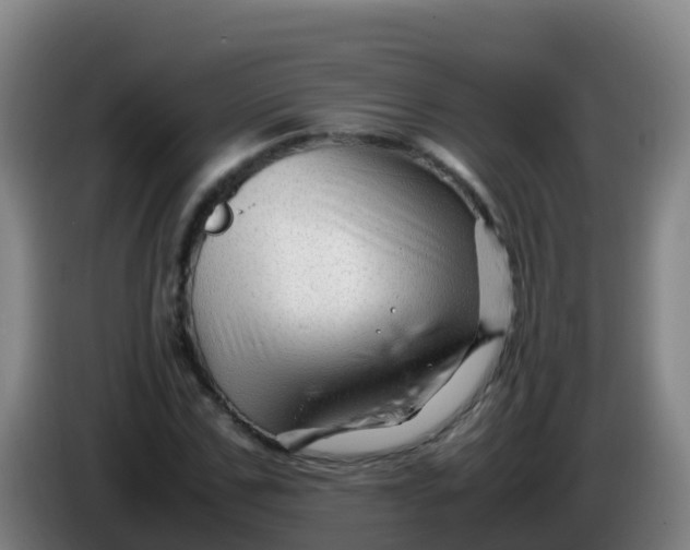 X0000086290971200704201920