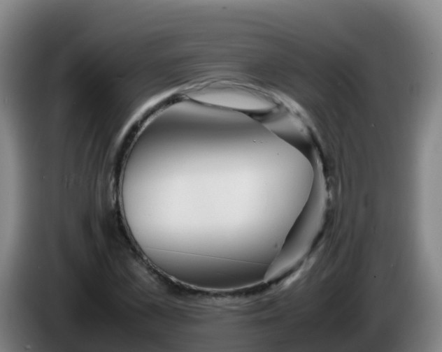 X0000086290973200704201920