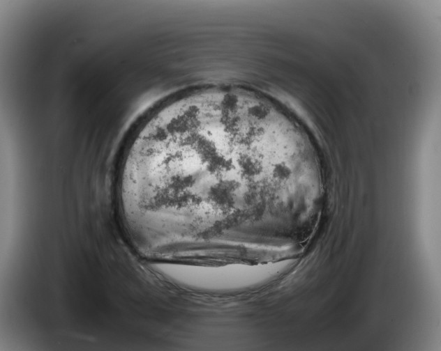 X0000086290975200704201920