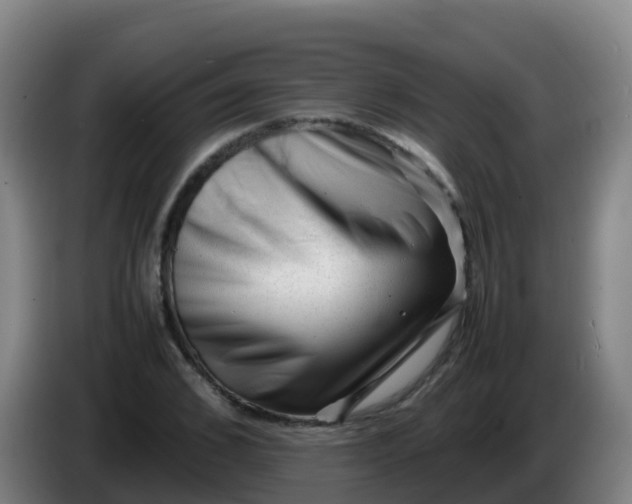 X0000086290976200704201920