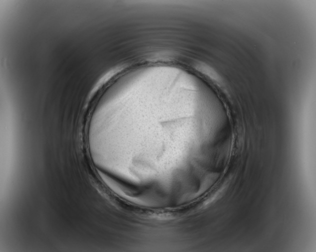 X0000086290978200704201920