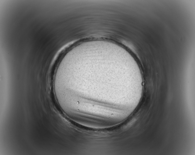X0000086290979200704201920